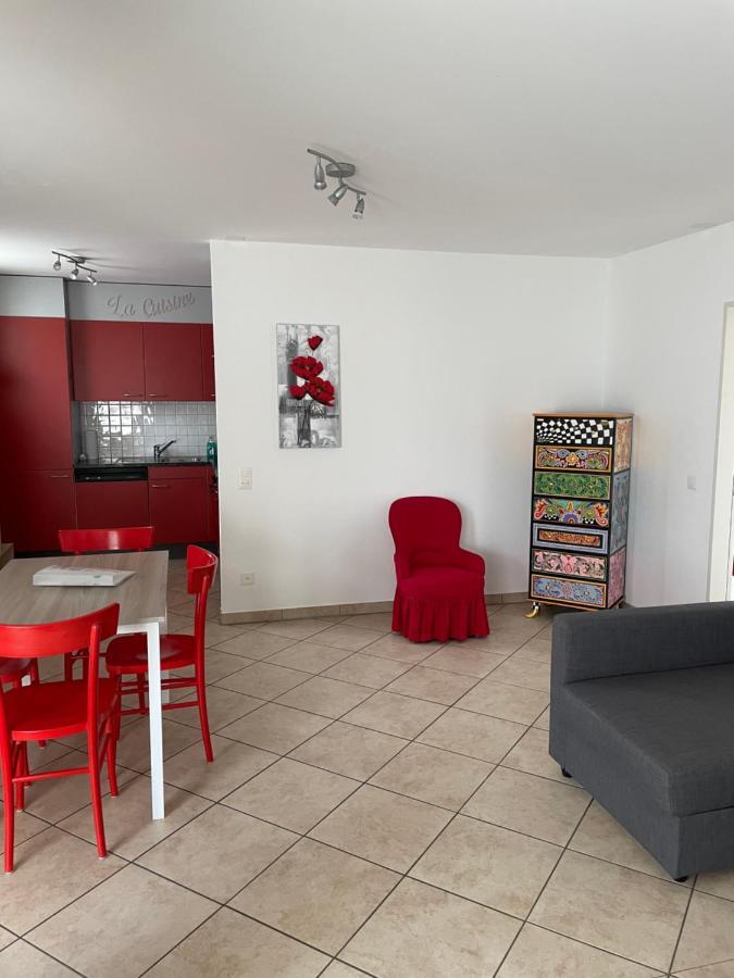 Appartamento 2,5 Con Piscina Nel Cuore Di Locarno 463 Zewnętrze zdjęcie